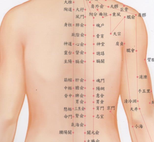 背部刮痧的神奇之处：促代谢、舒经活络、调节脏腑功能一网打尽